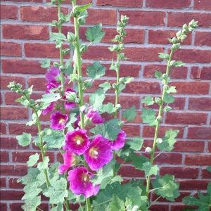 Meet your Posher, Katy